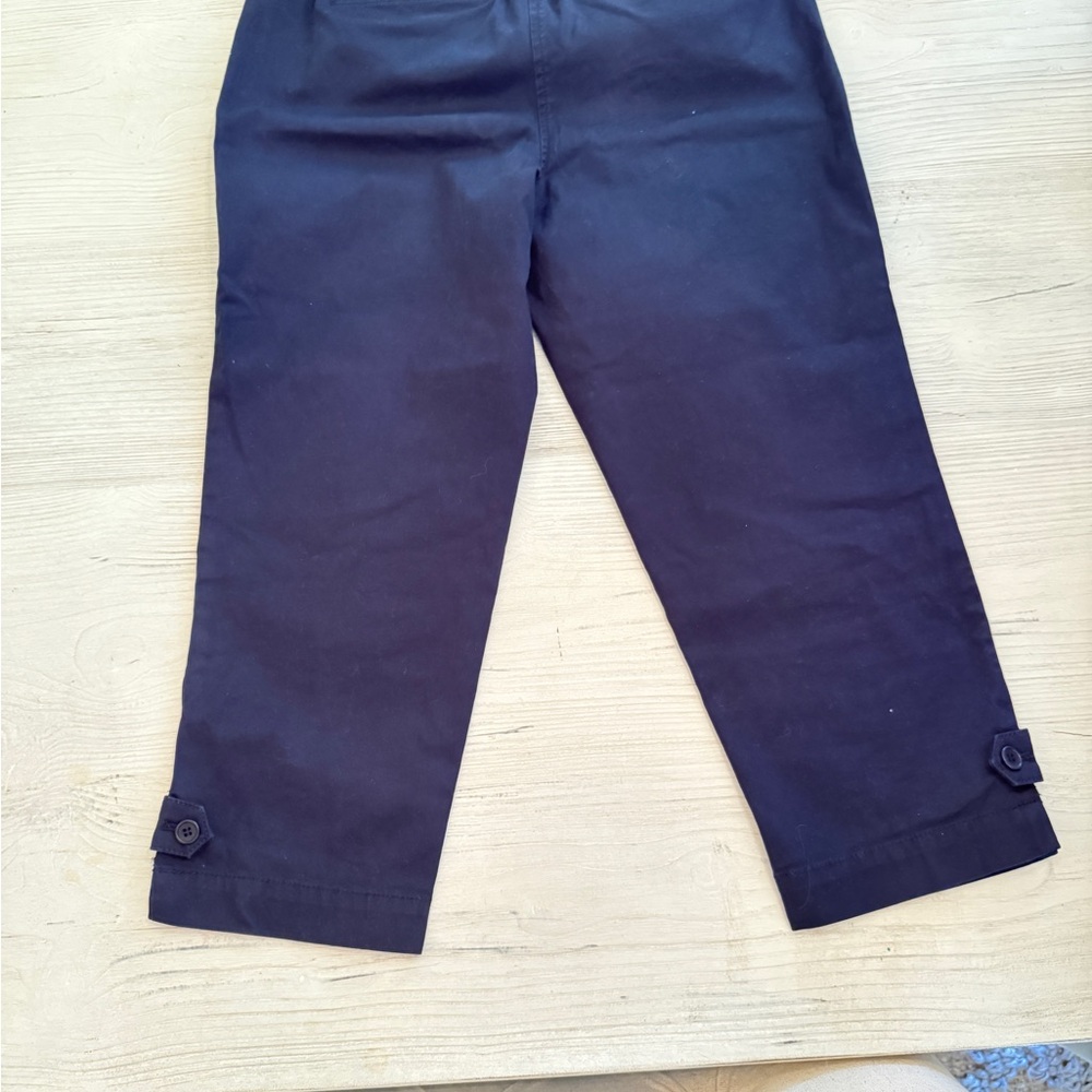 Talbots Navy and White Polka Dot Crop Pants